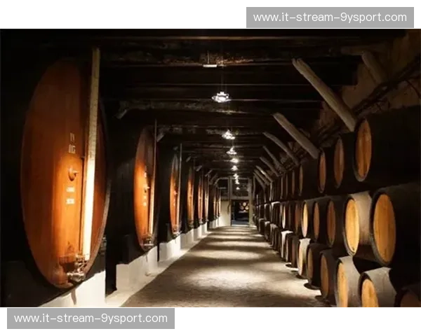 分析波尔图:从酒窖到世界舞台的城市魅力